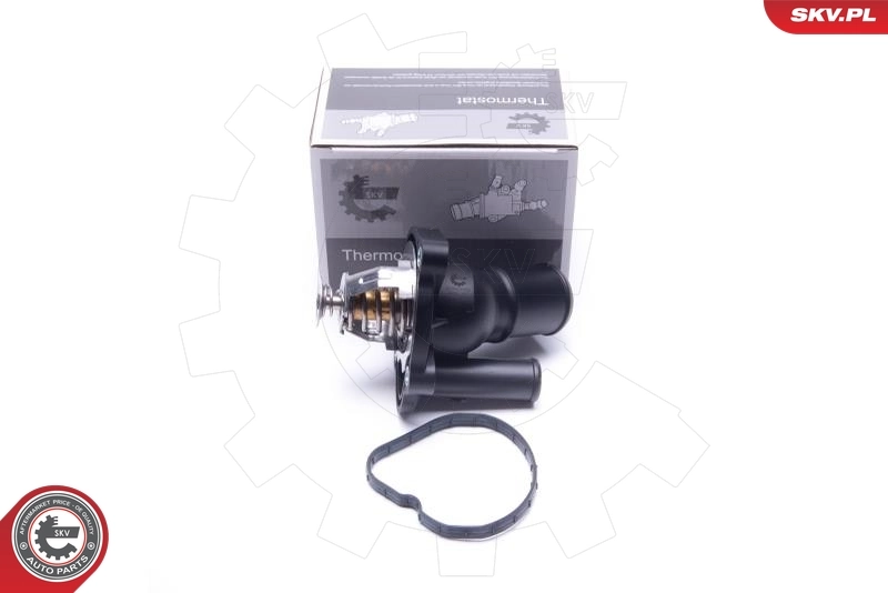 Thermostat, coolant